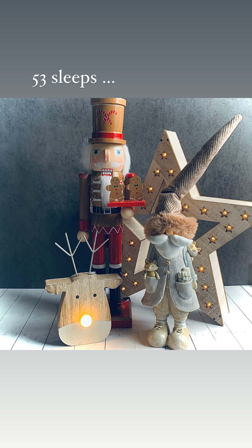 Santa and Woodland Friends