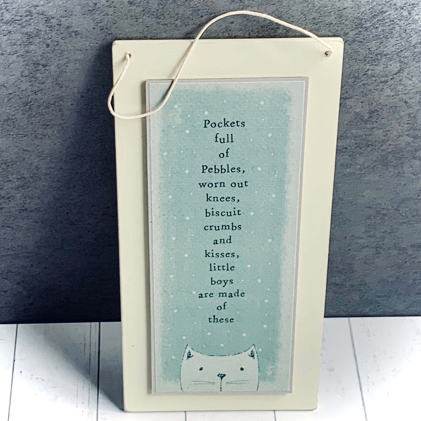 Cream coloured light wood sign with string hanger and a blue coloured inner piece with a rhyme about little boys that says 'Pockets full of pebbes, worn out knees, biscuit crumbs and kisses, little boys are made of these'. Picture of cartoon type cats head at bottom. From Wickerhearts East of India gift collection.