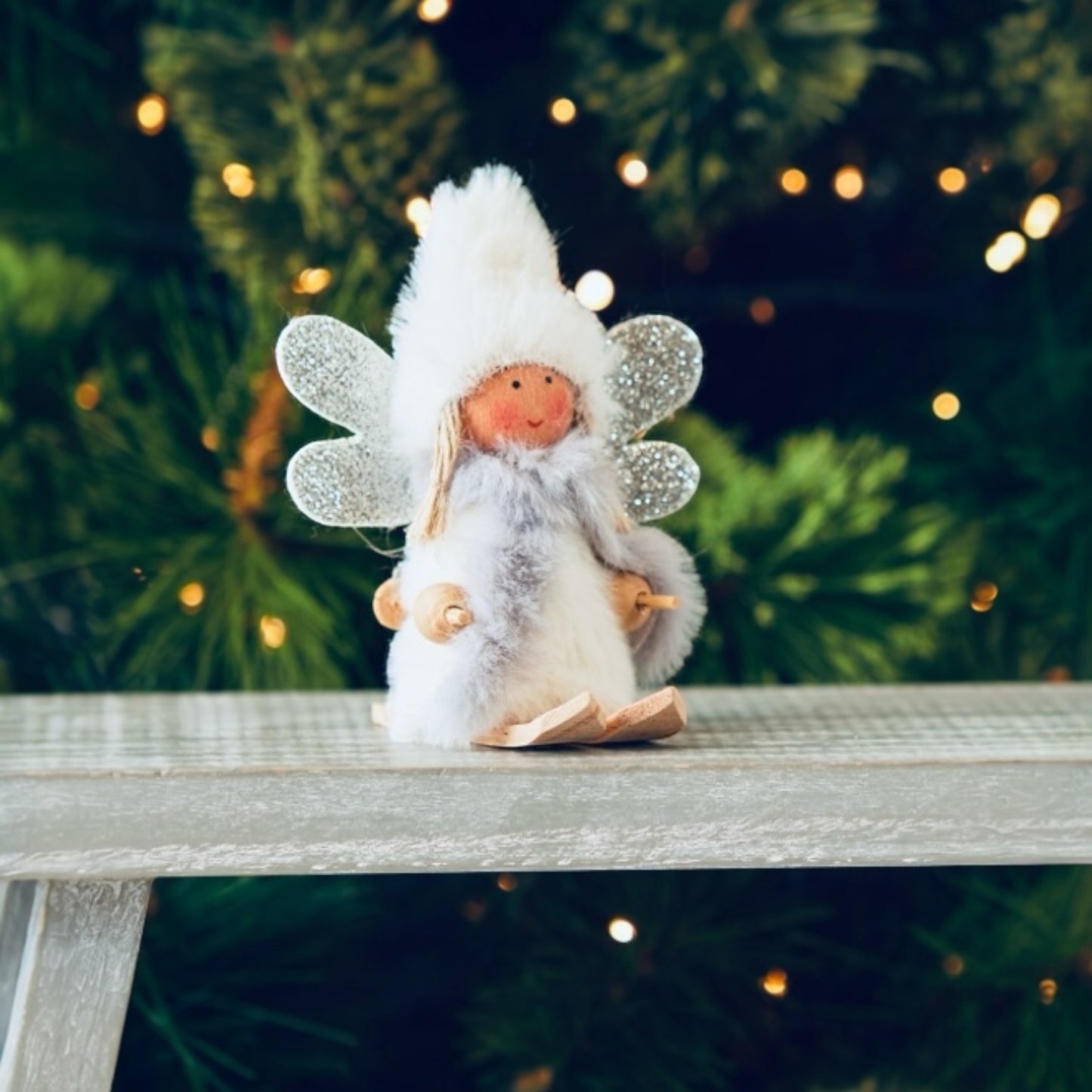 Fairy on Ski's